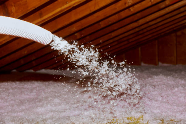 Best Insulation Replacement Services  in Brier, WA