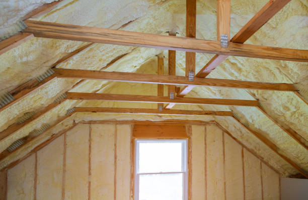 Best Home Insulation Services  in Brier, WA