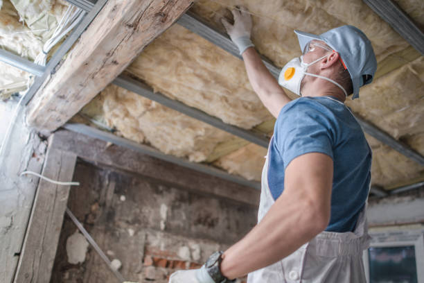 Best Attic Insulation Installation  in Brier, WA