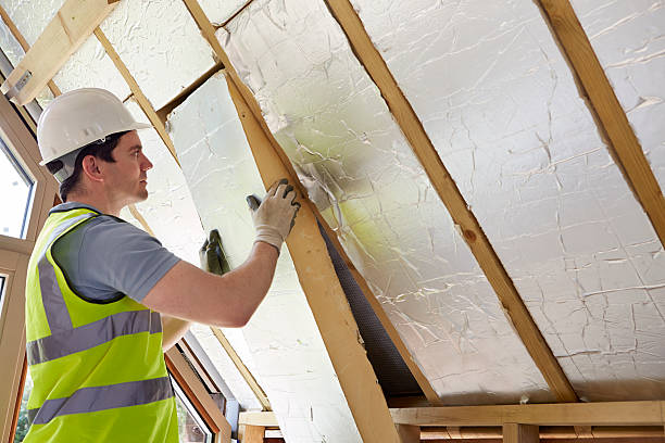 Best Local Insulation Services  in Brier, WA